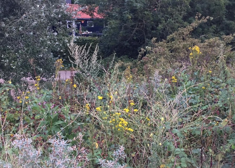 exterieur-vanaf-het-duin